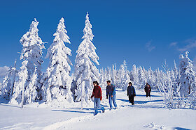 Winterwanderung Bayerischer Wald